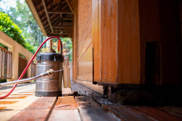 Best Pest Prevention Services  in Waupaca, WI
