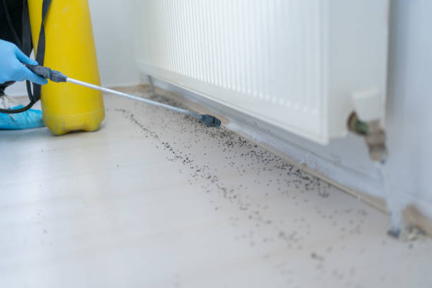 Reliable Waupaca, WI Pest Control Solutions